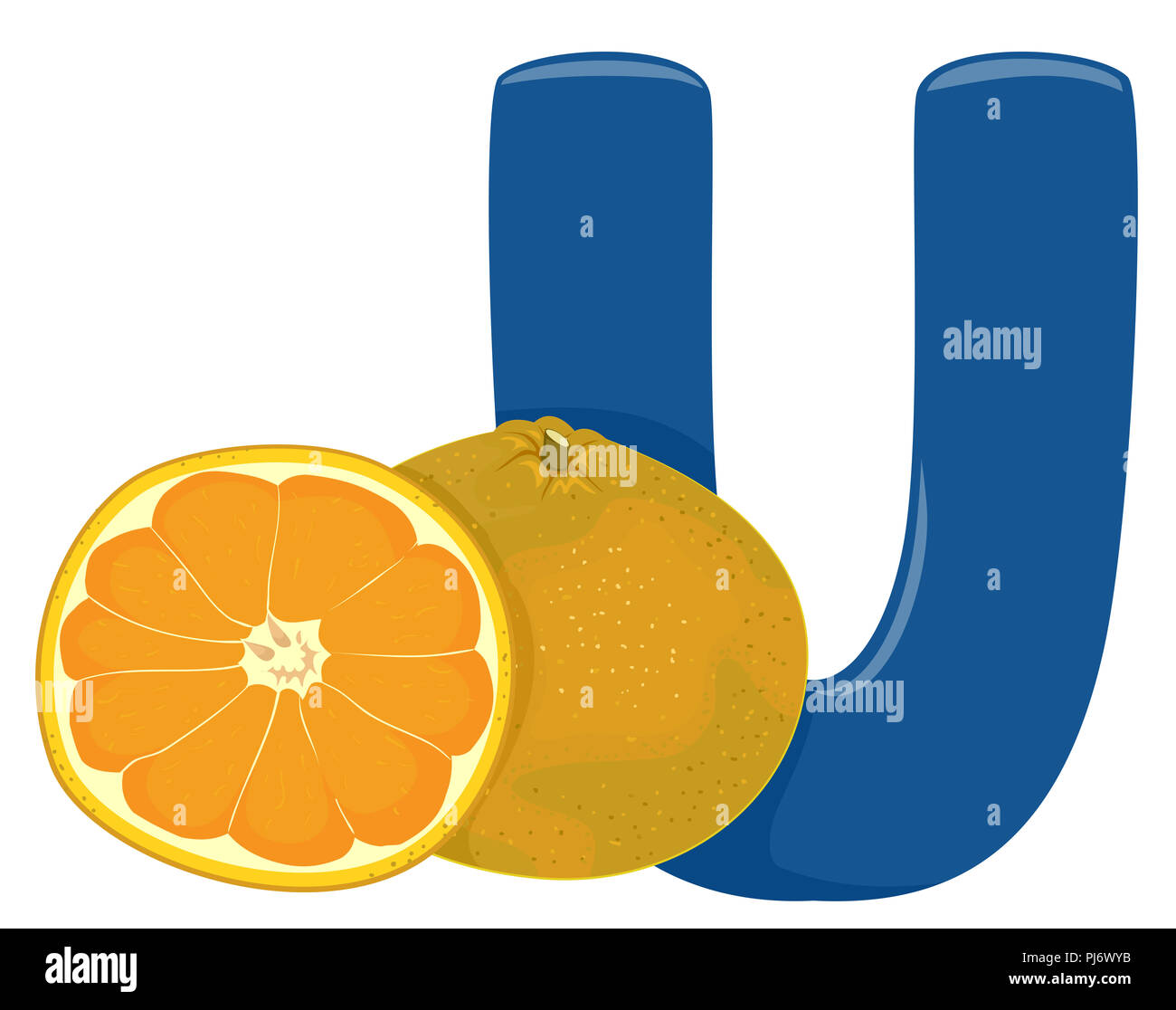 Illustration of Fruits Alphabet, a Blue Letter U and Ugli Fruit Stock Photo