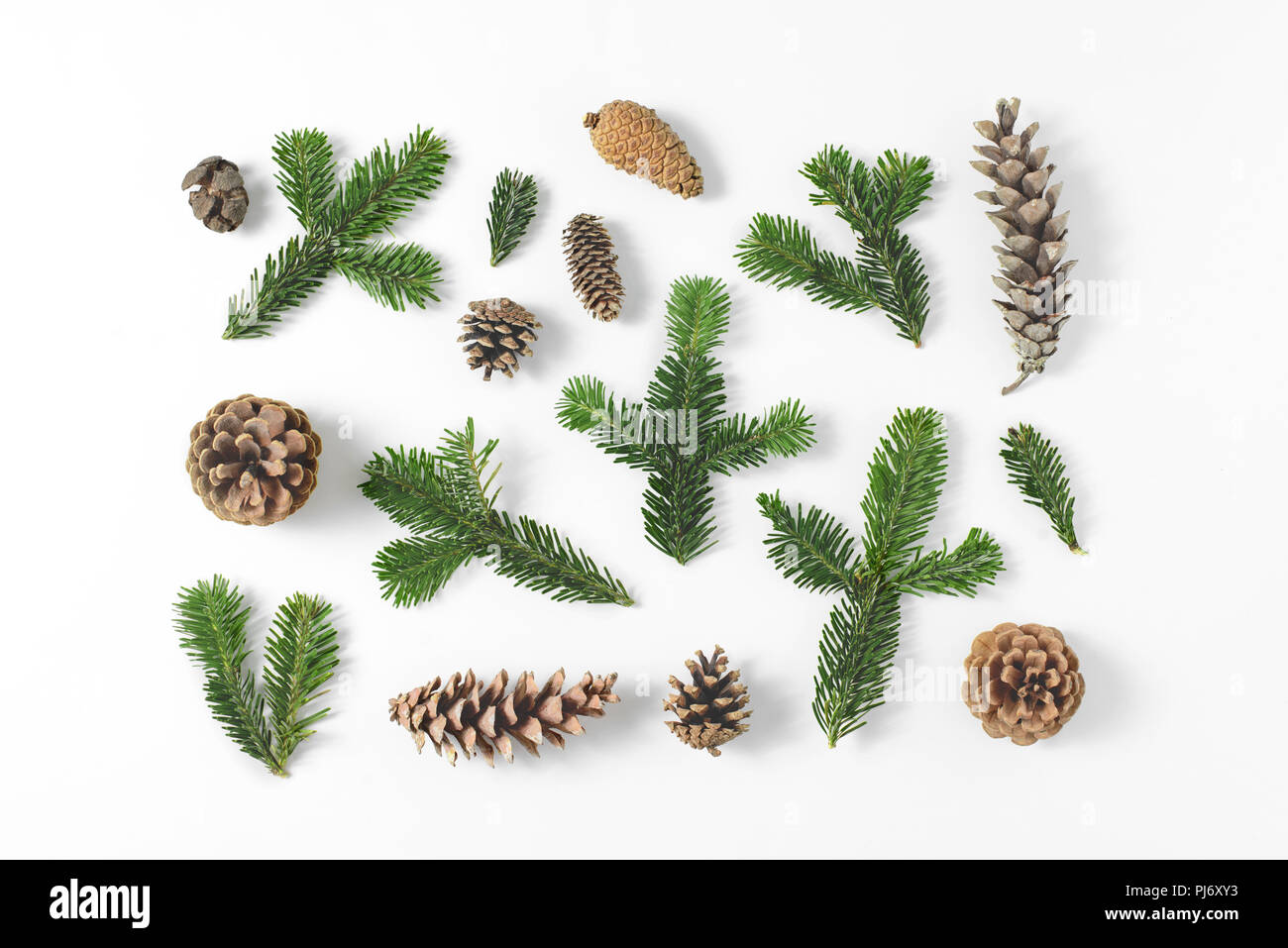 Set of various pine and fir-tree evergreen branches and cones on white background. Natural rustic background. Top view, flat lay. Stock Photo