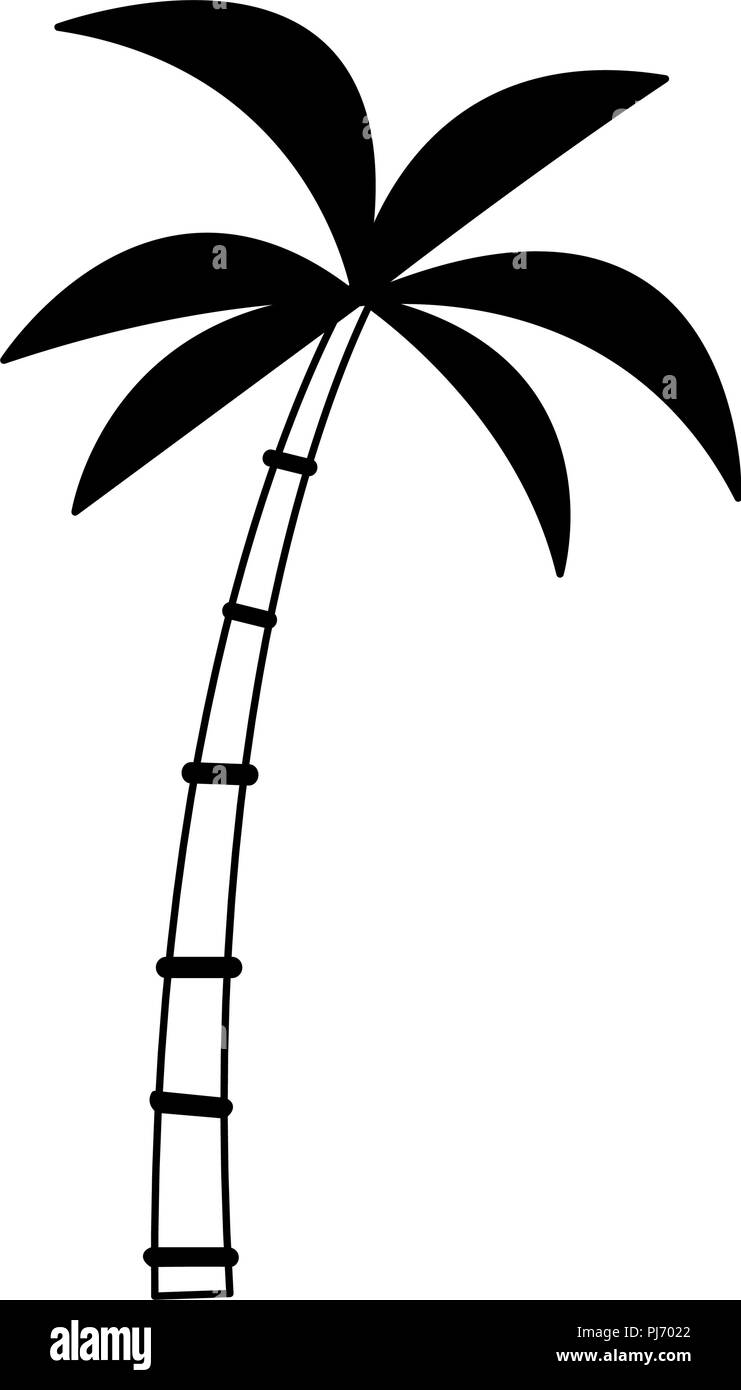 Palm tree isolated in black and white Stock Vector Image & Art - Alamy