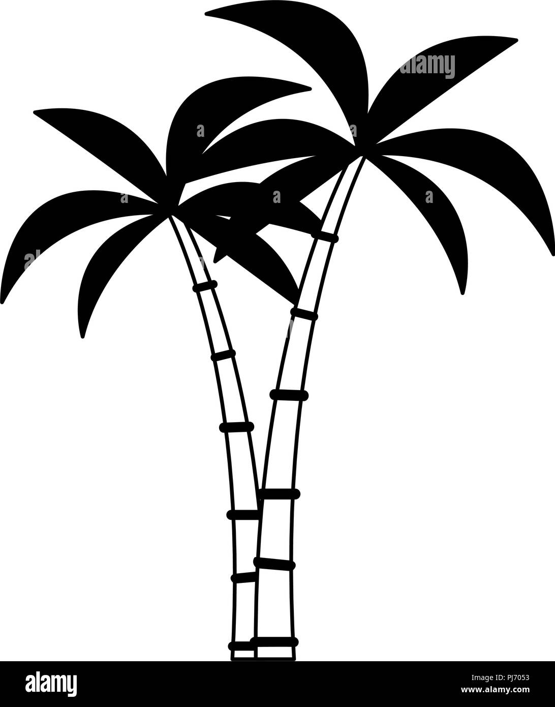 Palms tree isolated in black and white Stock Vector Image & Art - Alamy