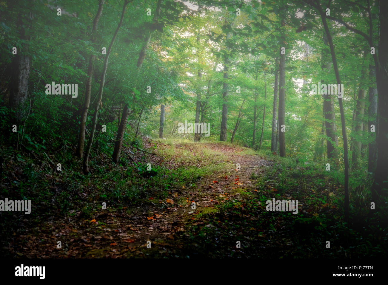 Paintsville Lake Kentucky Stock Photo Alamy