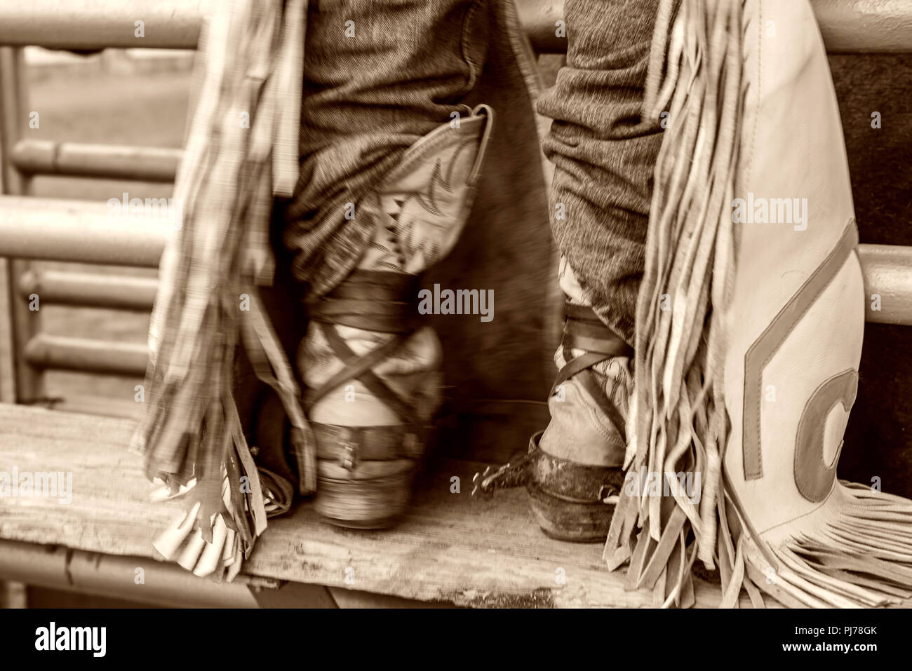 Cowboy gearing up for Texas rodeo USA Stock Photo