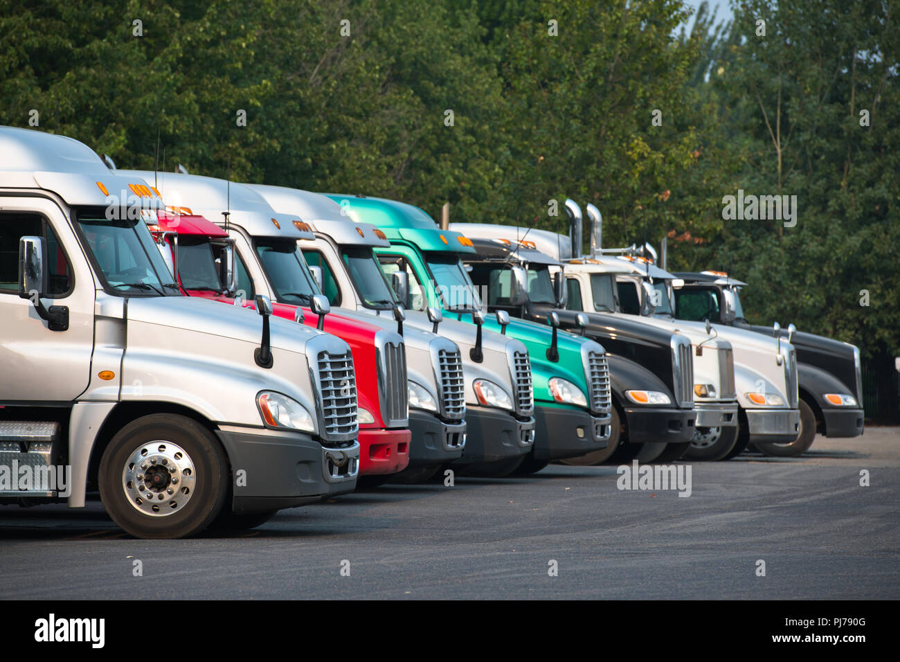 Big rigs semi trucks of different brands models and colors are lined up