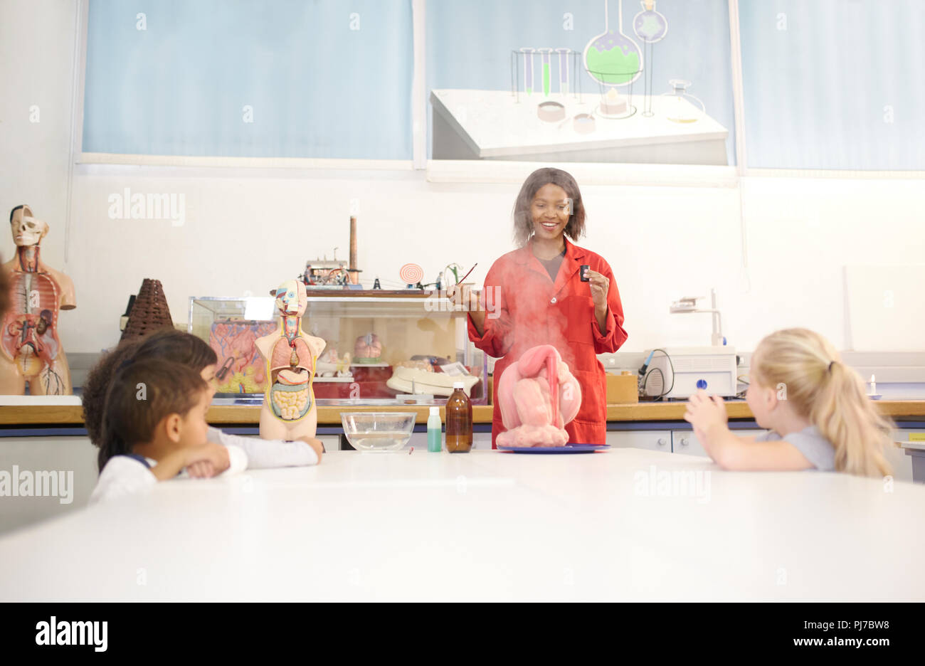 Science teacher and curious students with anatomical models Stock Photo