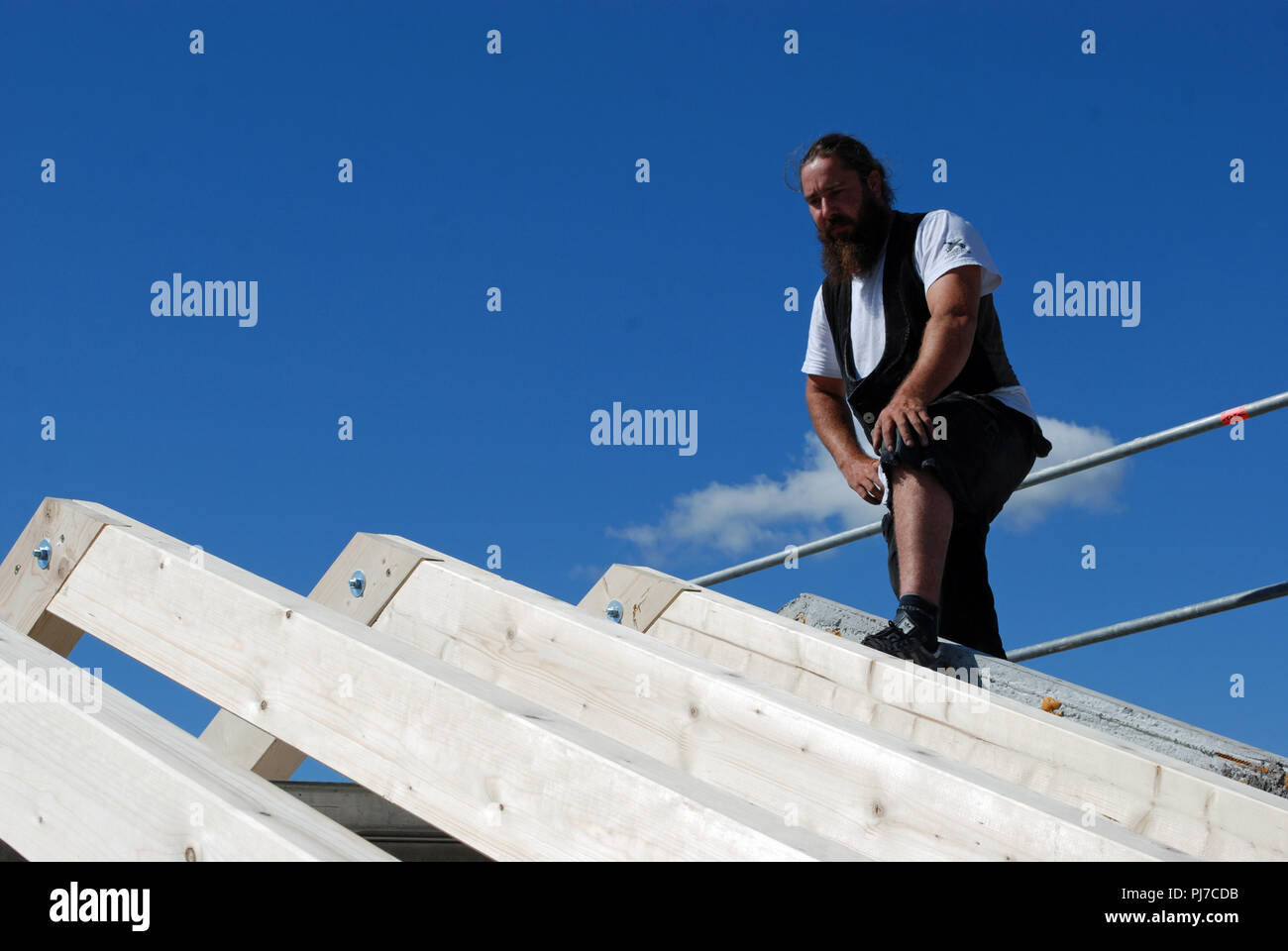 Carpenter journeymen hires stock photography and images Alamy