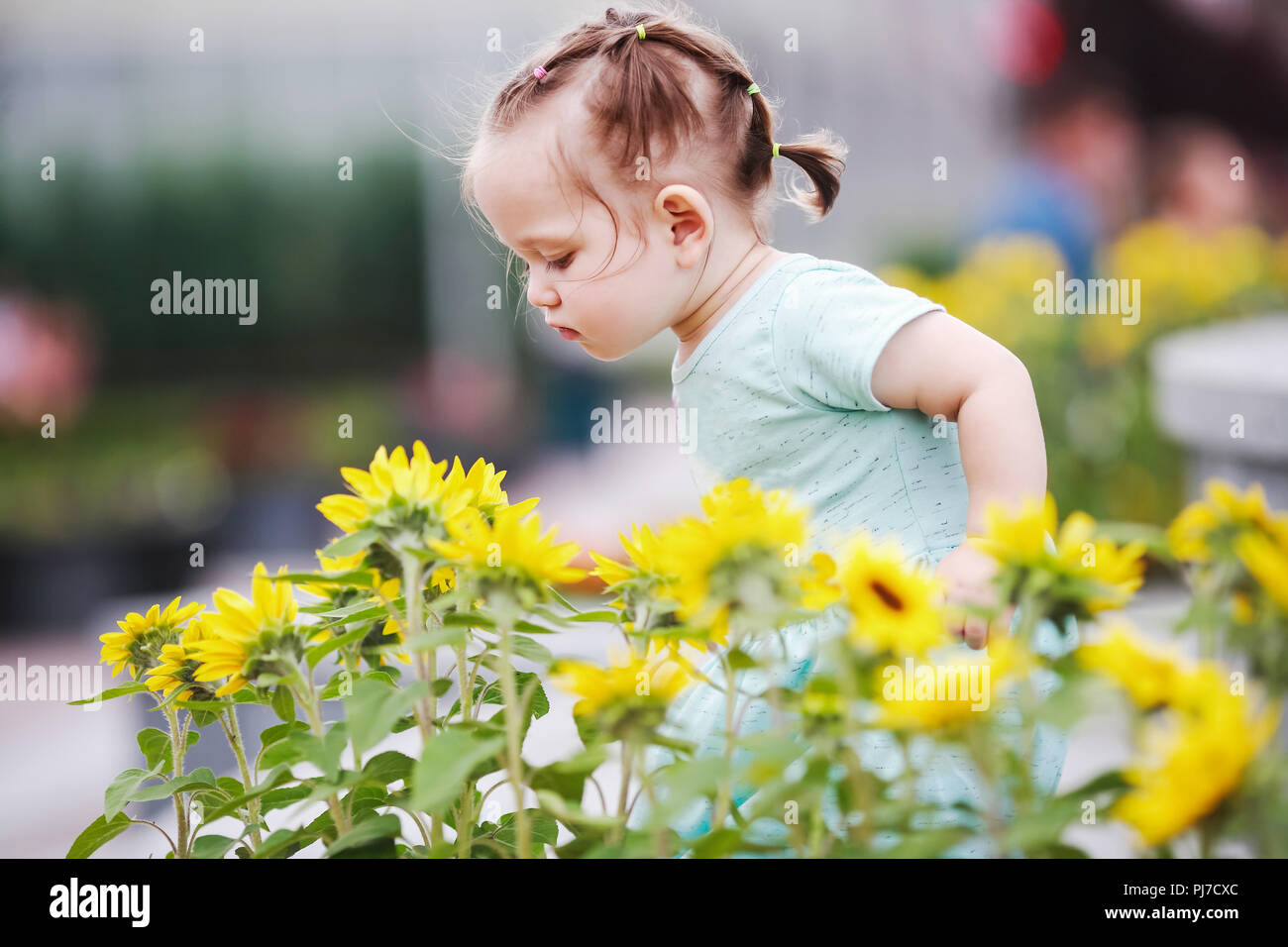 Little girl smelling flowers Stock Photo