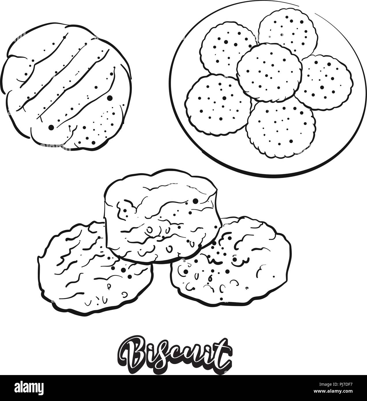 Hand drawn sketch of Biscuit bread. Vector drawing of Yeast bread or unleavened food, usually known in North America and Europe. Bread illustration se Stock Vector