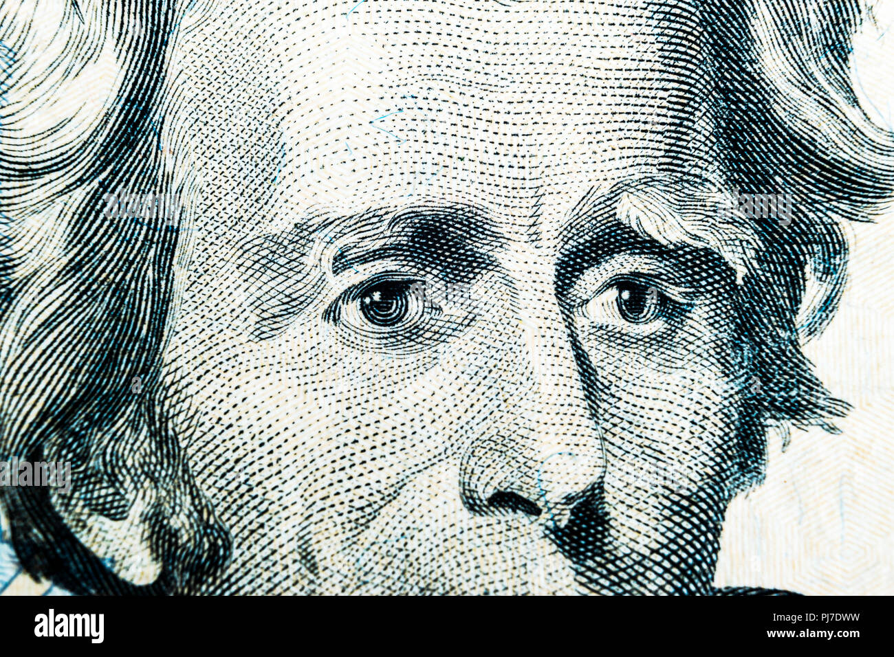 Close up view Portrait of Andrew Jackson on the one twenty dollar bill
