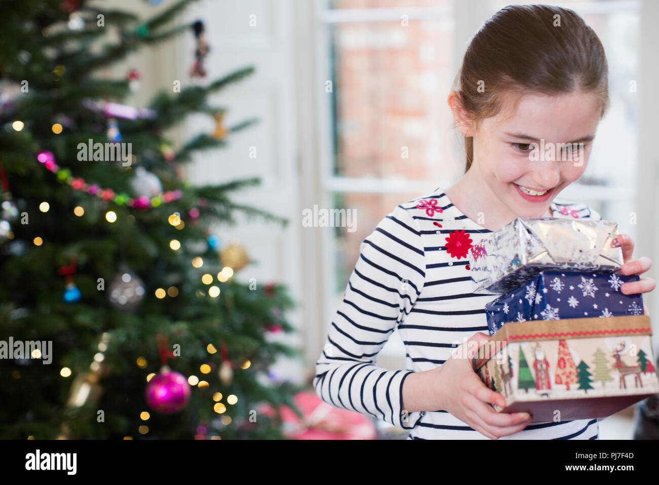 Smiling, eager girl gathering Christmas gifts in living room Stock Photo