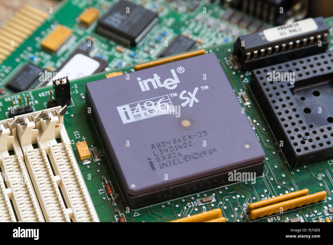An Intel i486 SX (80486SX) processor (CPU) from 1989 in a socket on a