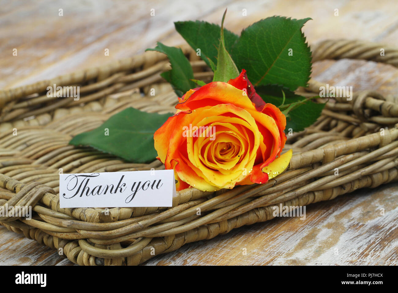Thank you card with one colorful rose on wicker surface Stock Photo - Alamy