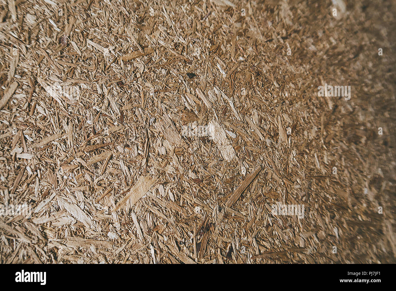 wood texture background Stock Photo