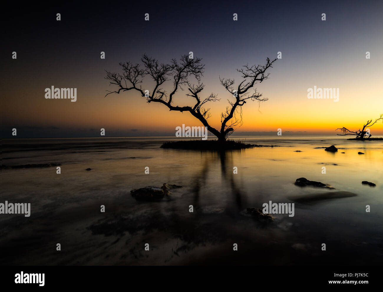 Twilight landscape, in Bahia Honda State Park, Big Pine Key, Florida Keys, USA Stock Photo
