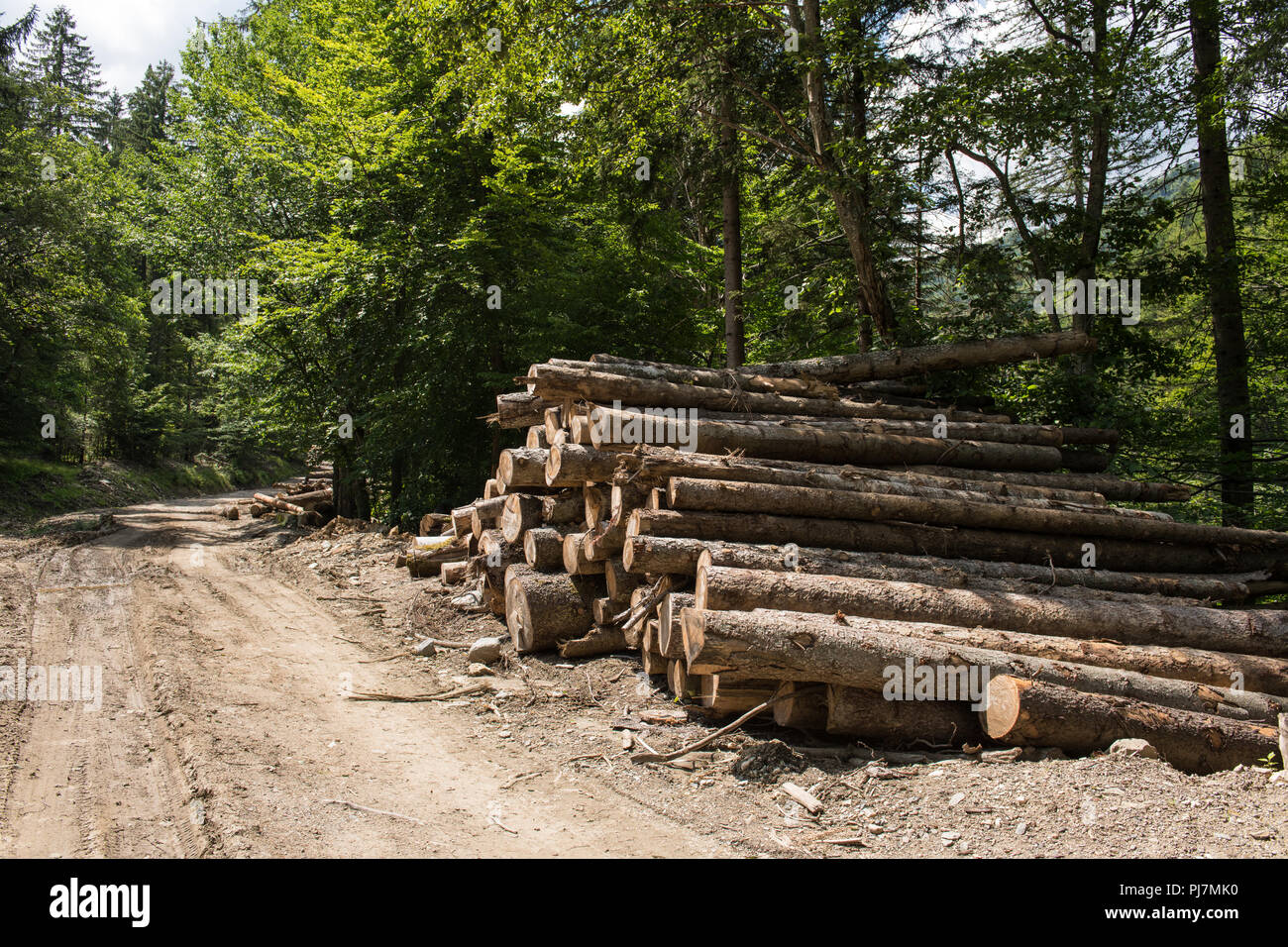 Heavy timber construction hi-res stock photography and images - Alamy