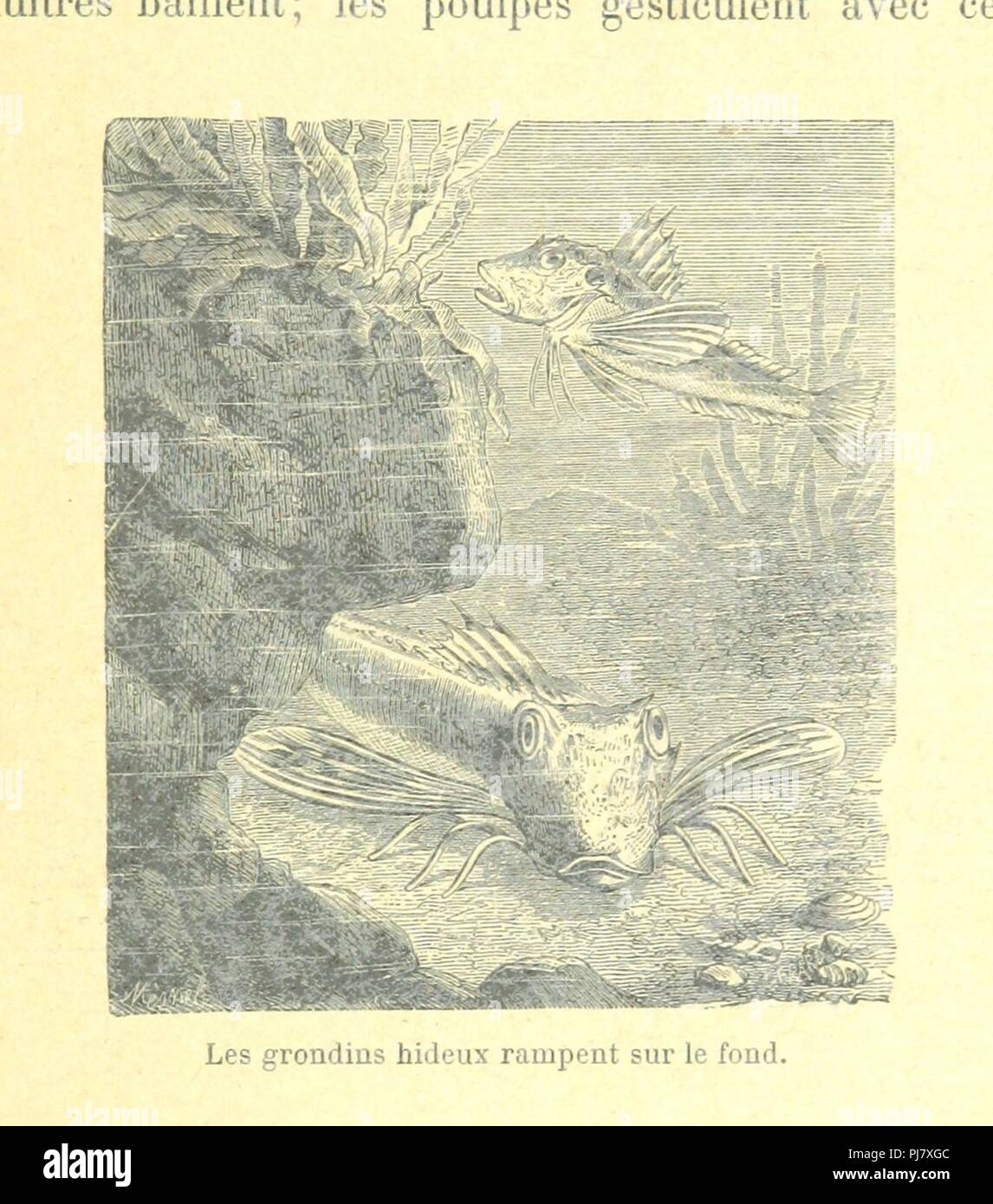 Matyrer Rampent Image from page 53 of 'De Cherbourg a ̀ Brest sur mer et sur terre ...