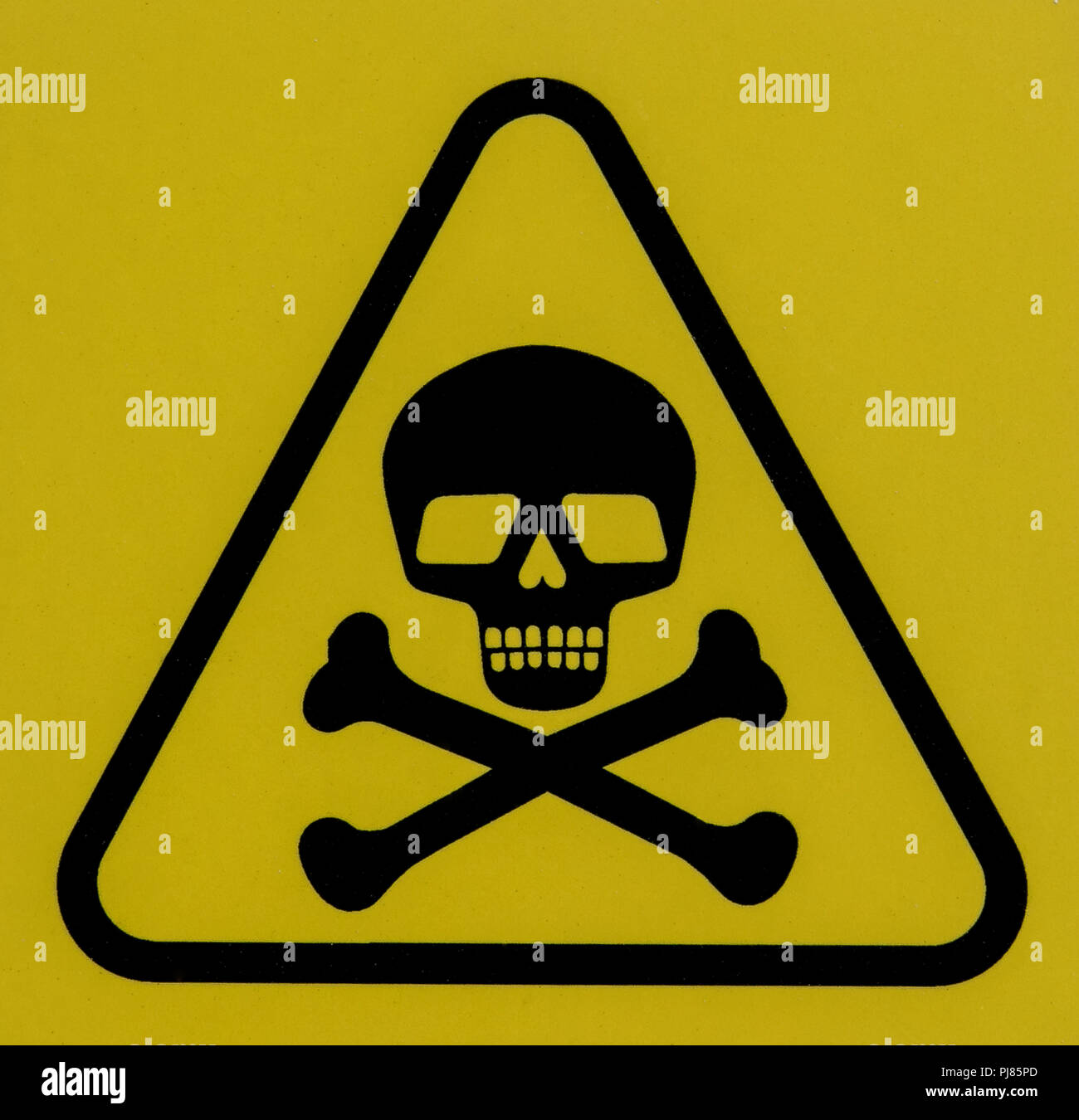 Toxic symbol with skull and crossbones on a yellow square