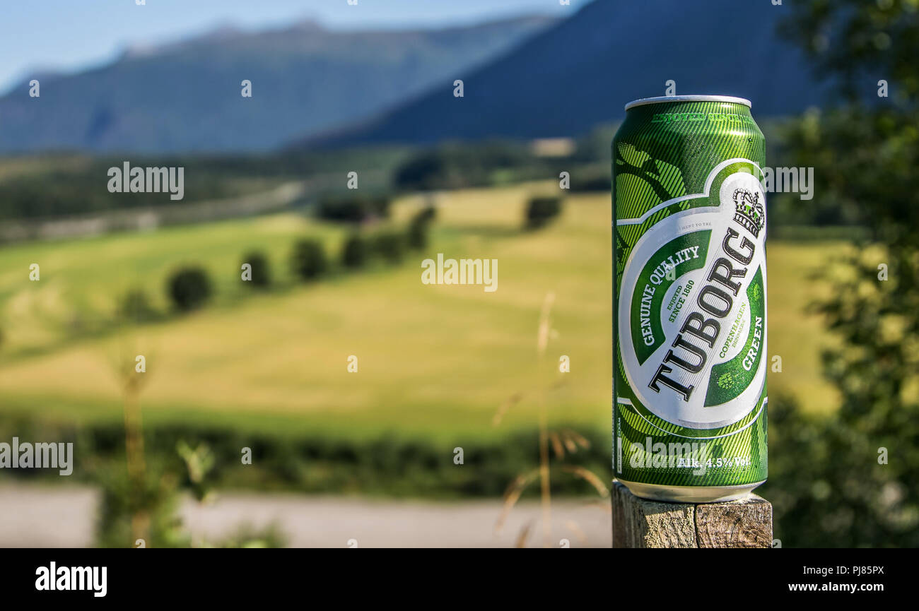 Norway, July 27, 2018: Can of Tuborg beer stands against beautiful natural backdrop. Stock Photo