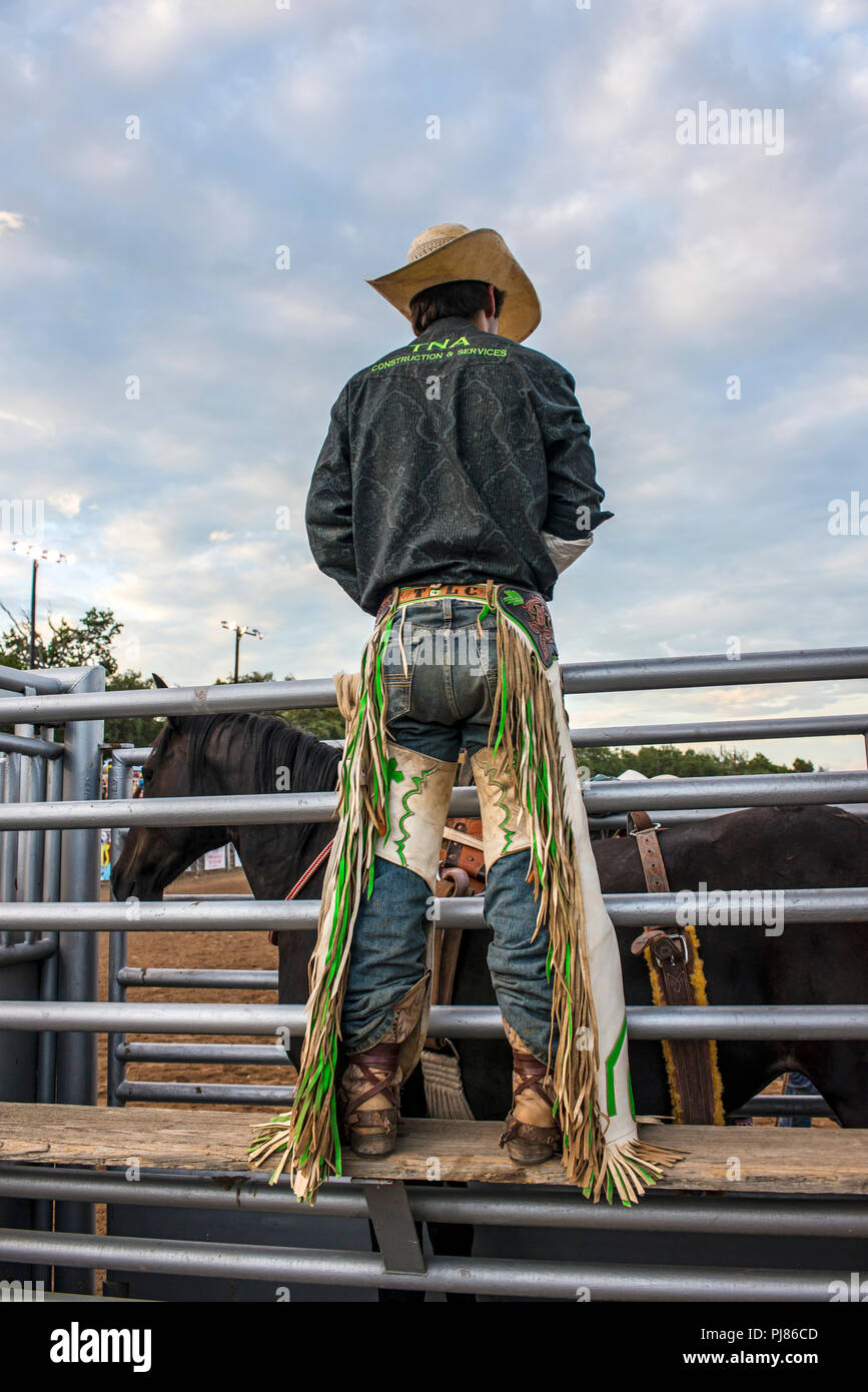 Cowboy in western chaps. Texas rodeo USA Stock Photo Alamy