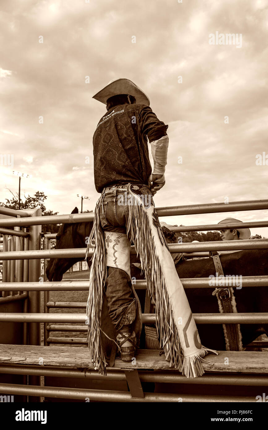 Cowboy in western chaps. Texas rodeo USA. Stock Photo