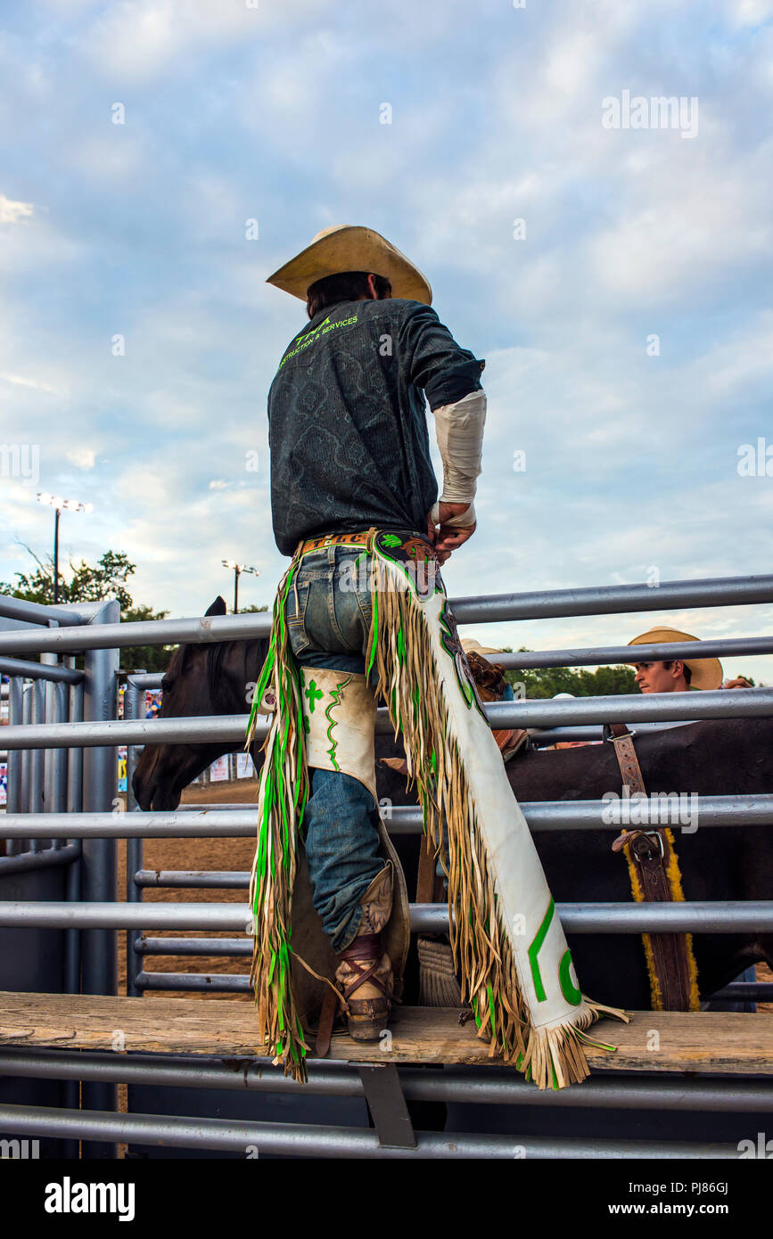 Cowboy in western chaps. Texas rodeo USA. Stock Photo