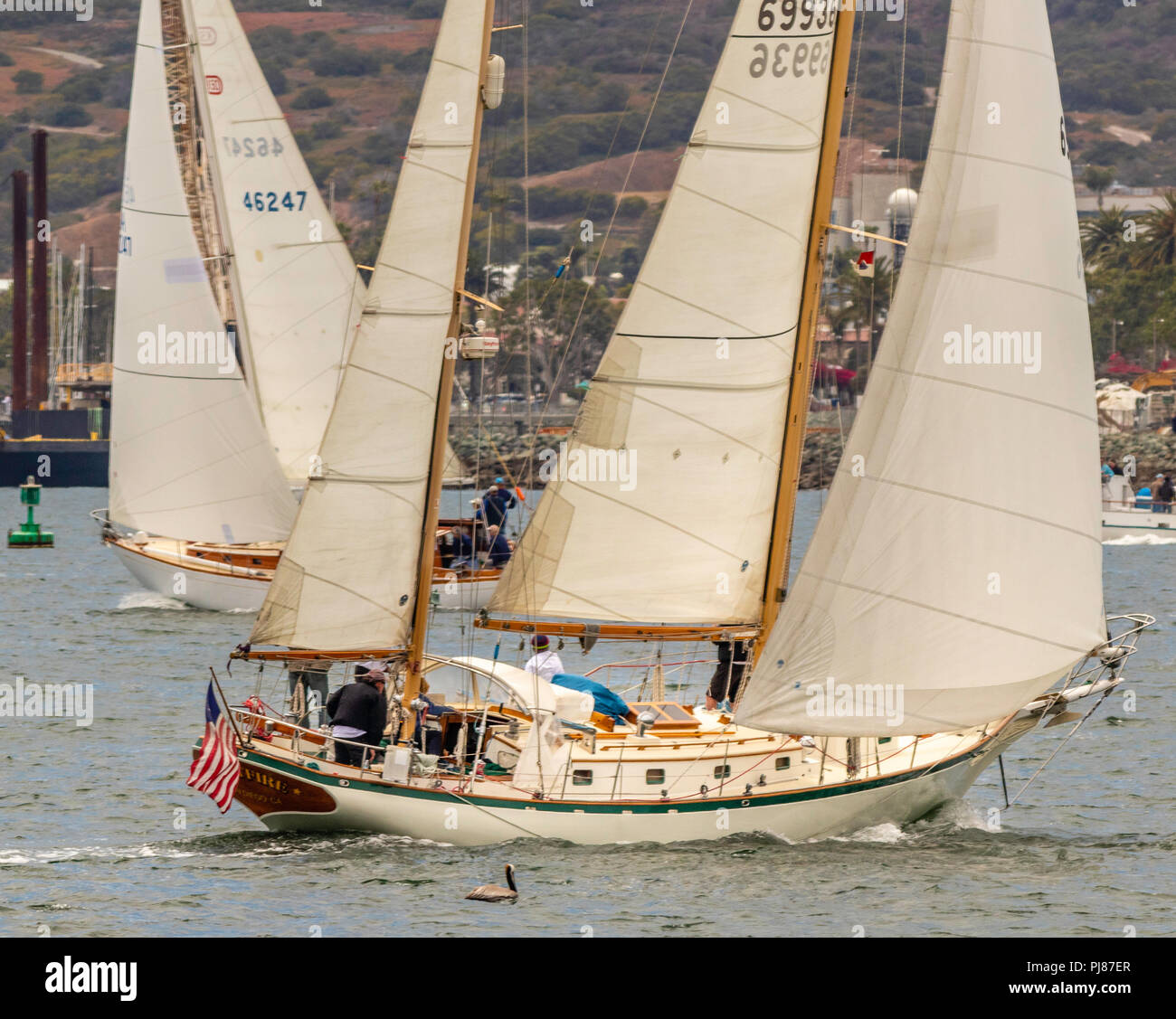Two classic yachts working upwind Stock Photo
