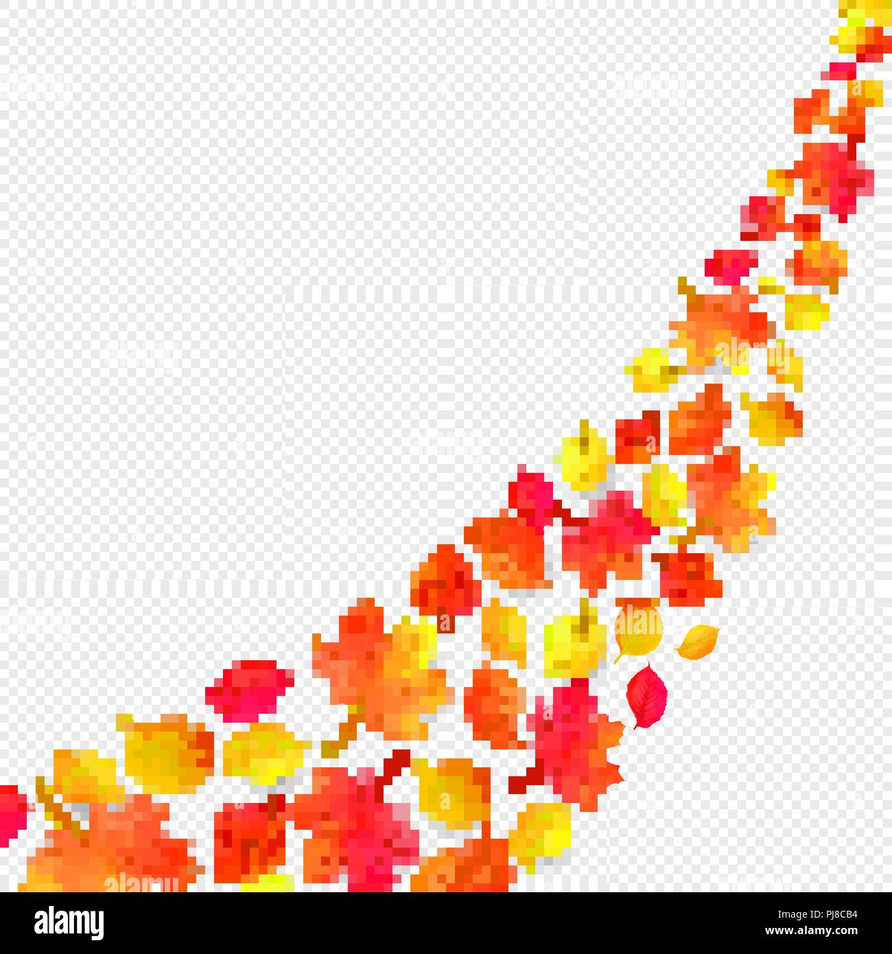 yellow leaves falling from the sky in white background autumn season