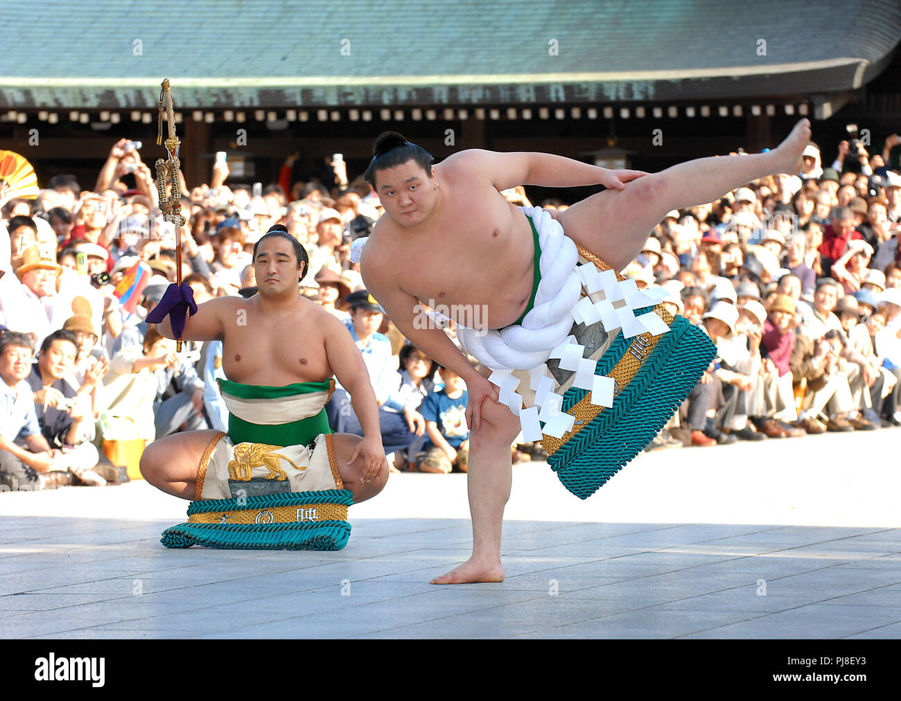 Mongolian sumo wrestler Hakuho, wearing a grand champion's ceremonial rope  belt, performs a ceremonial ritual to mark his promotion to the rank of yok  Stock Photo - Alamy