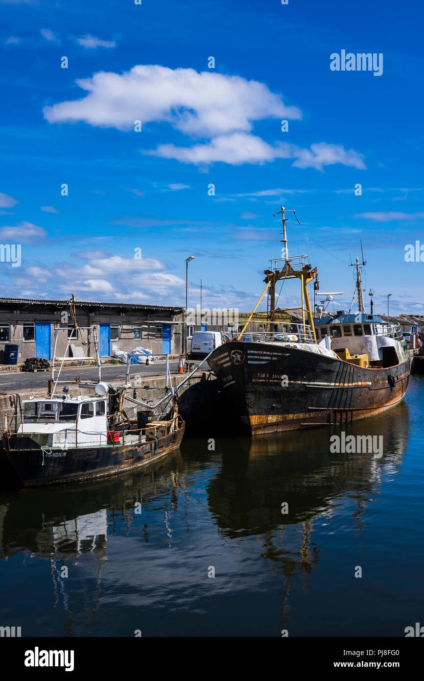 Newlyn harbour, one of the largest fishing ports, Cornwall, England, U