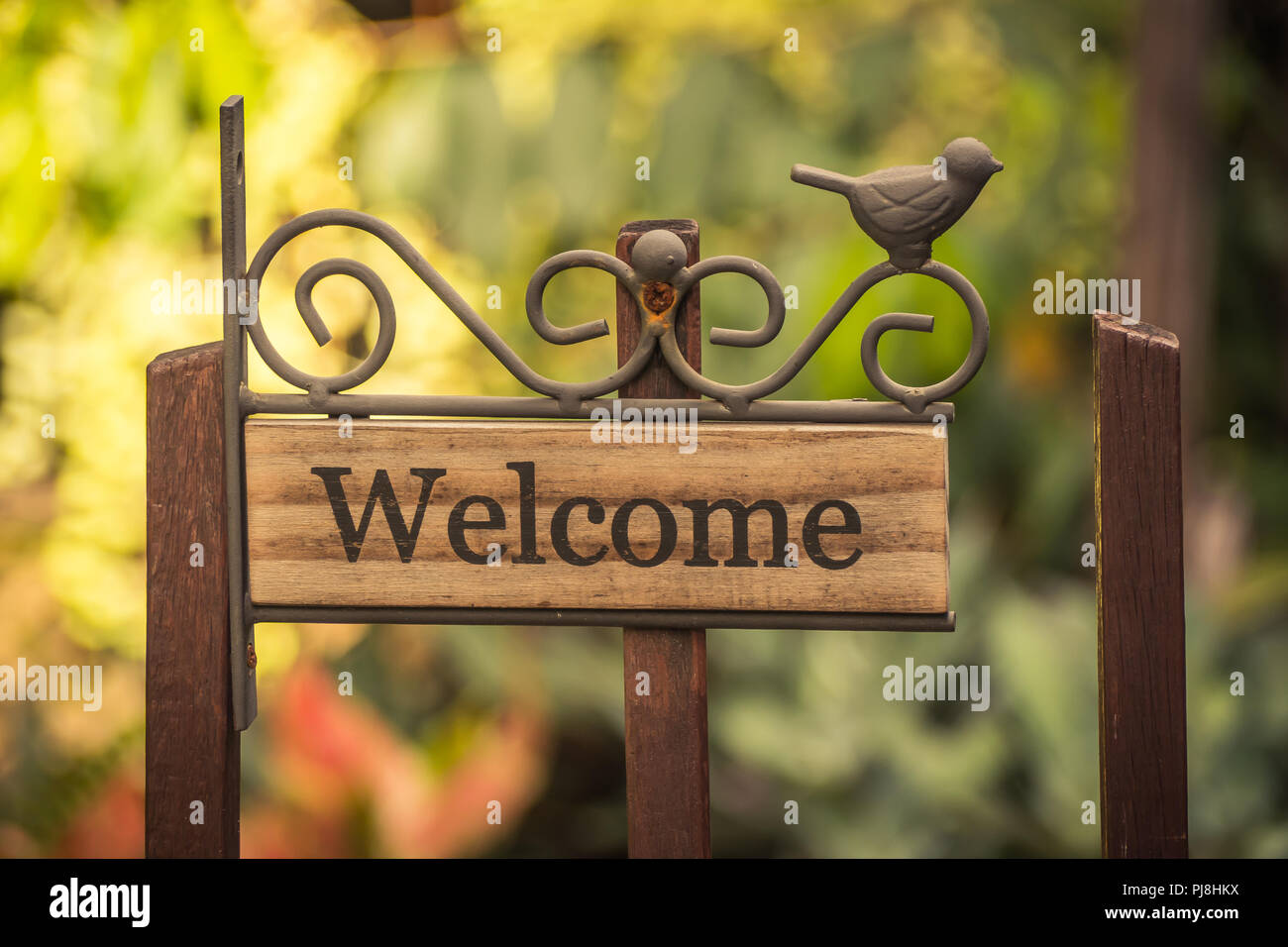 Welcome vintage wooden sign on a soft background blur Stock Photo - Alamy