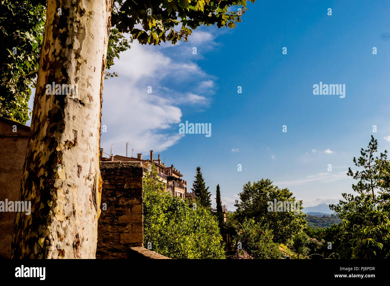 Talamanca,Spain,aniversary of 1714 battle with the presence of Mr Quim ...