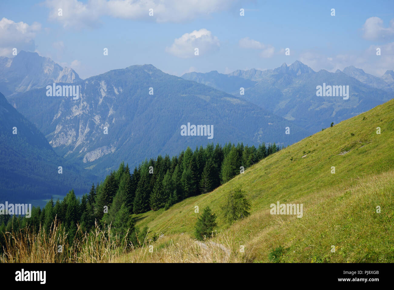 Mussen oder Auf der Mussen, Naturschutzgebiet, Almgebiet, Bergwiesen ...