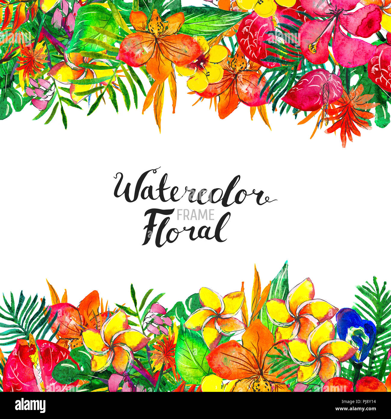 Watercolor Background with tropical plants and flowers Stock Photo - Alamy