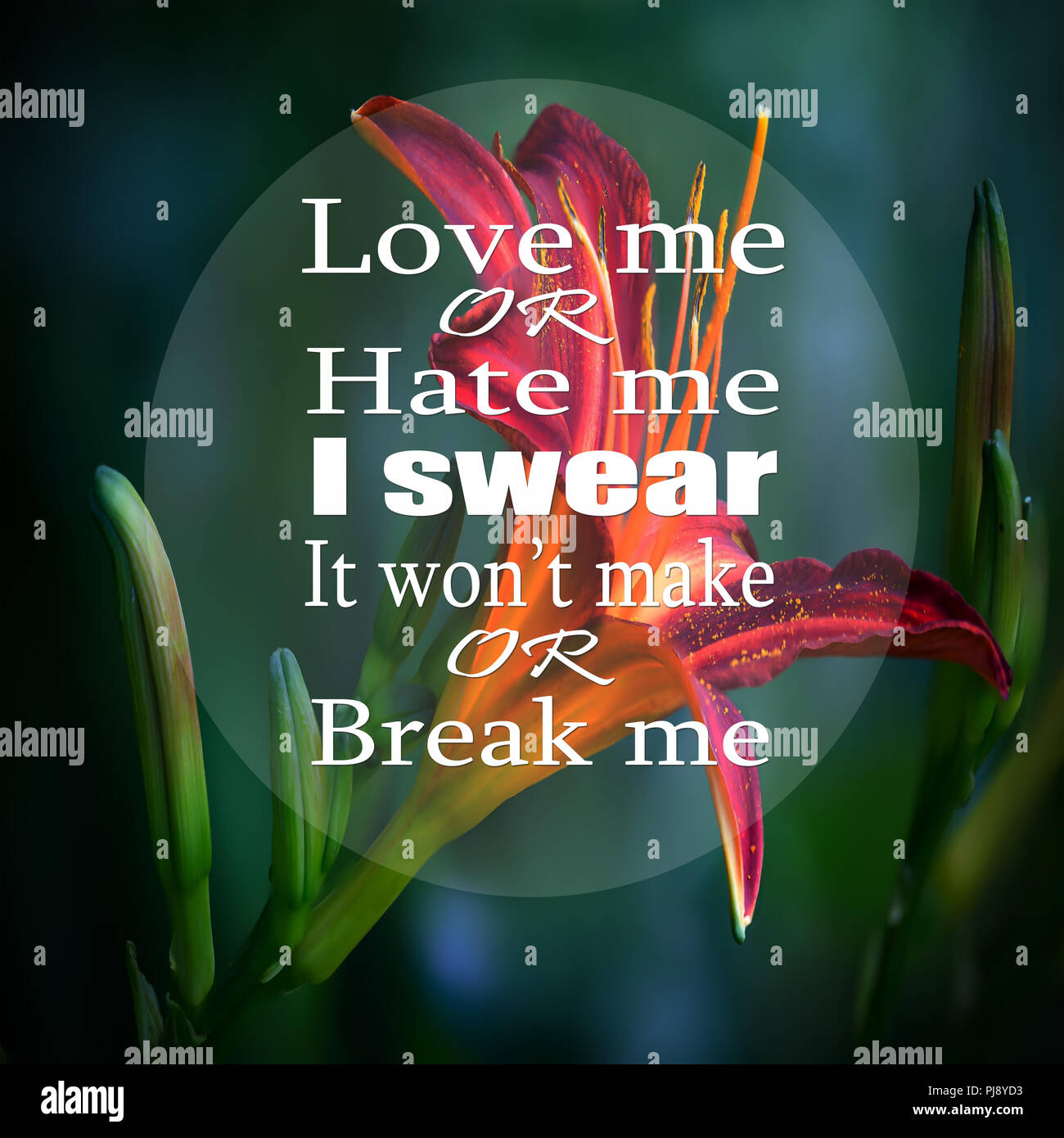 Inspirational Quotes Love Me Or Hate Me I Swear It Won T Make Or