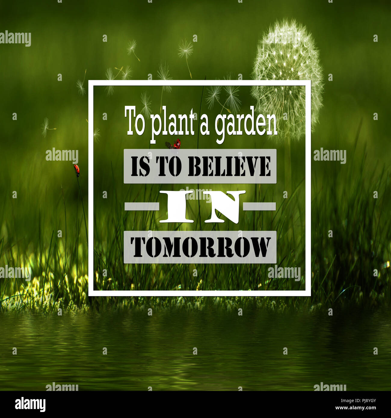 Inspirational Quotes To Plant A Garden Is To Believe In Tomorrow