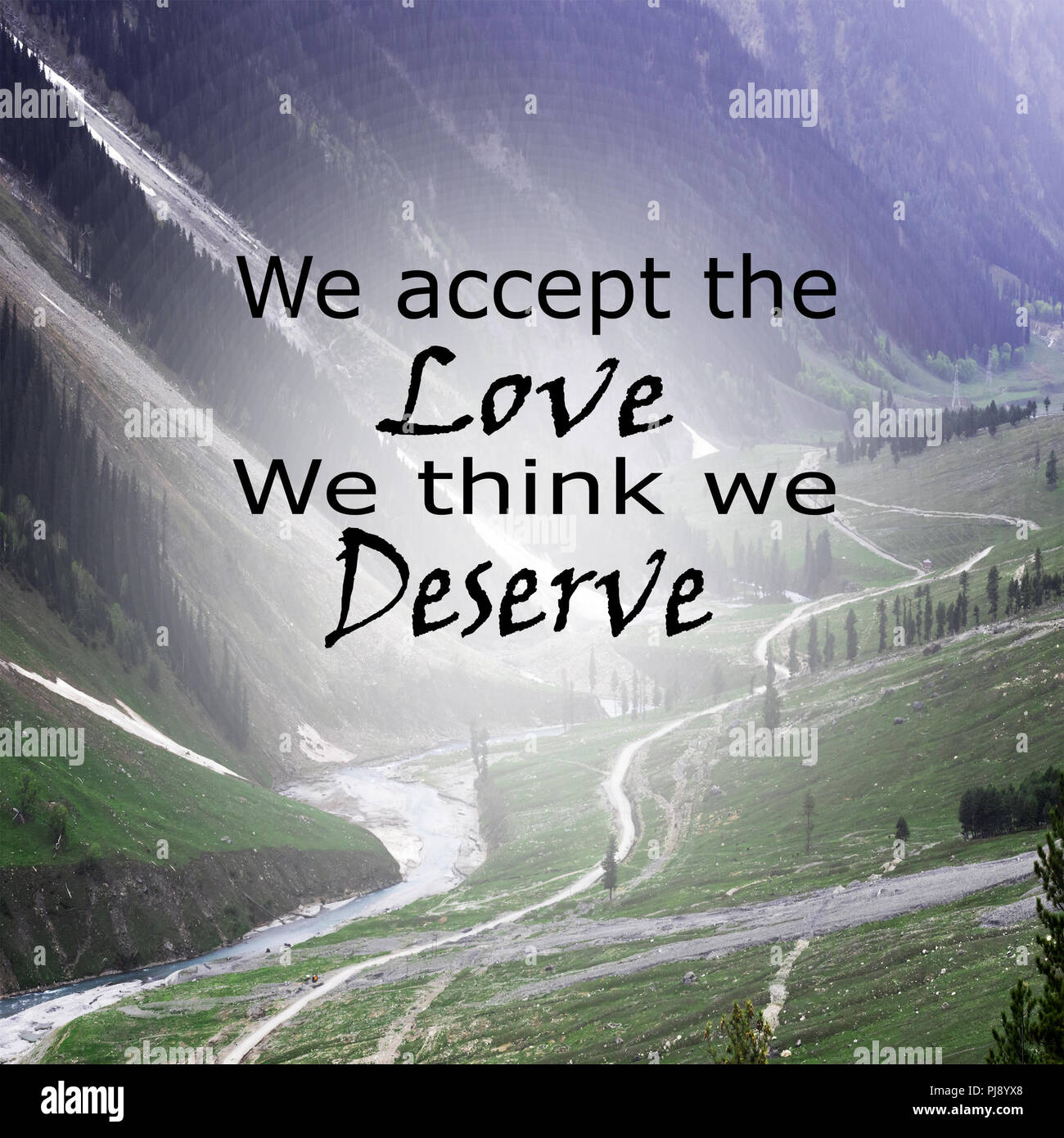 Inspirational Quote We Accept The Love We Think We Deserve Positive