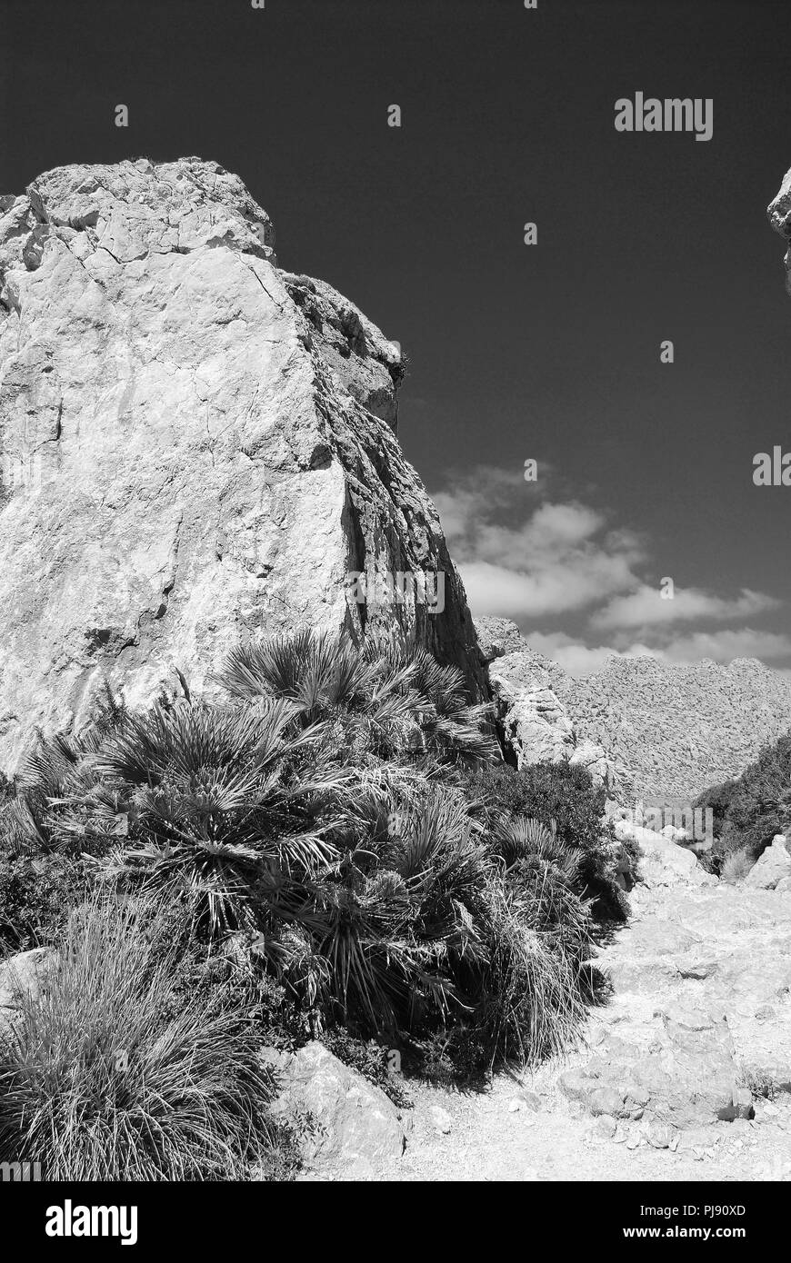 Large rocks line the walking trail of the Boquer valley in the Tramuntana mountains on the Spanish island of Majorca. Stock Photo