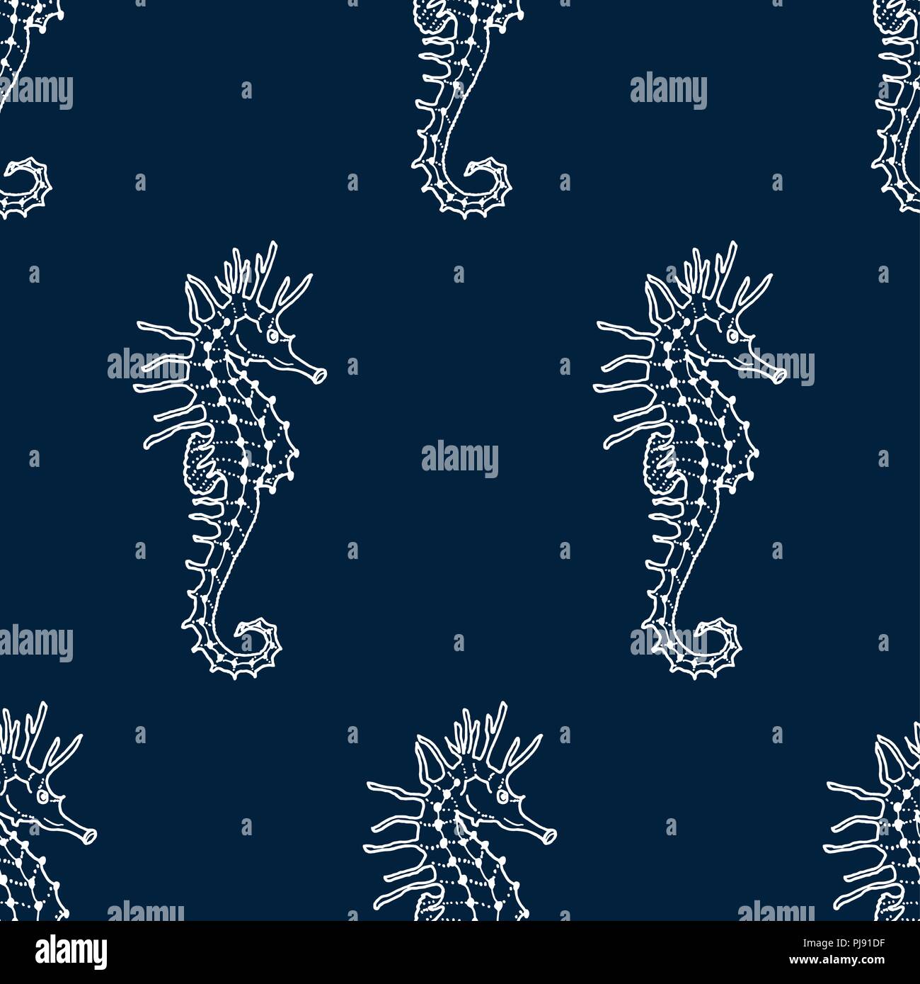 vector seamless pattern of white seahorse contour on dark blue ...