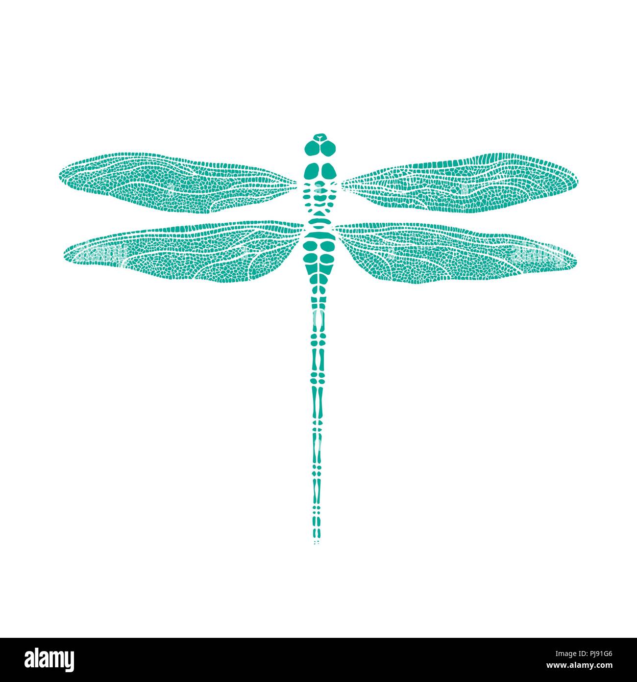 Vector dragonfly. Dragonfly made in one color under the stencil Stock Vector