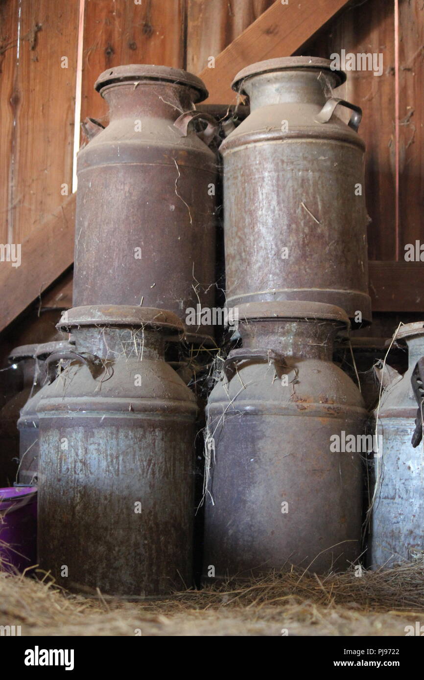 Old fashioned milk jugs stored in the barn on a hot summer day Stock Photo  - Alamy