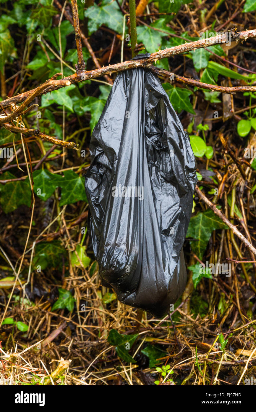 Dog poo poop bag left hanging in a bush Stock Photo - Alamy