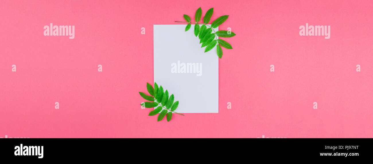 Creative flat lay top view white letter mock up with fresh green rowan ...