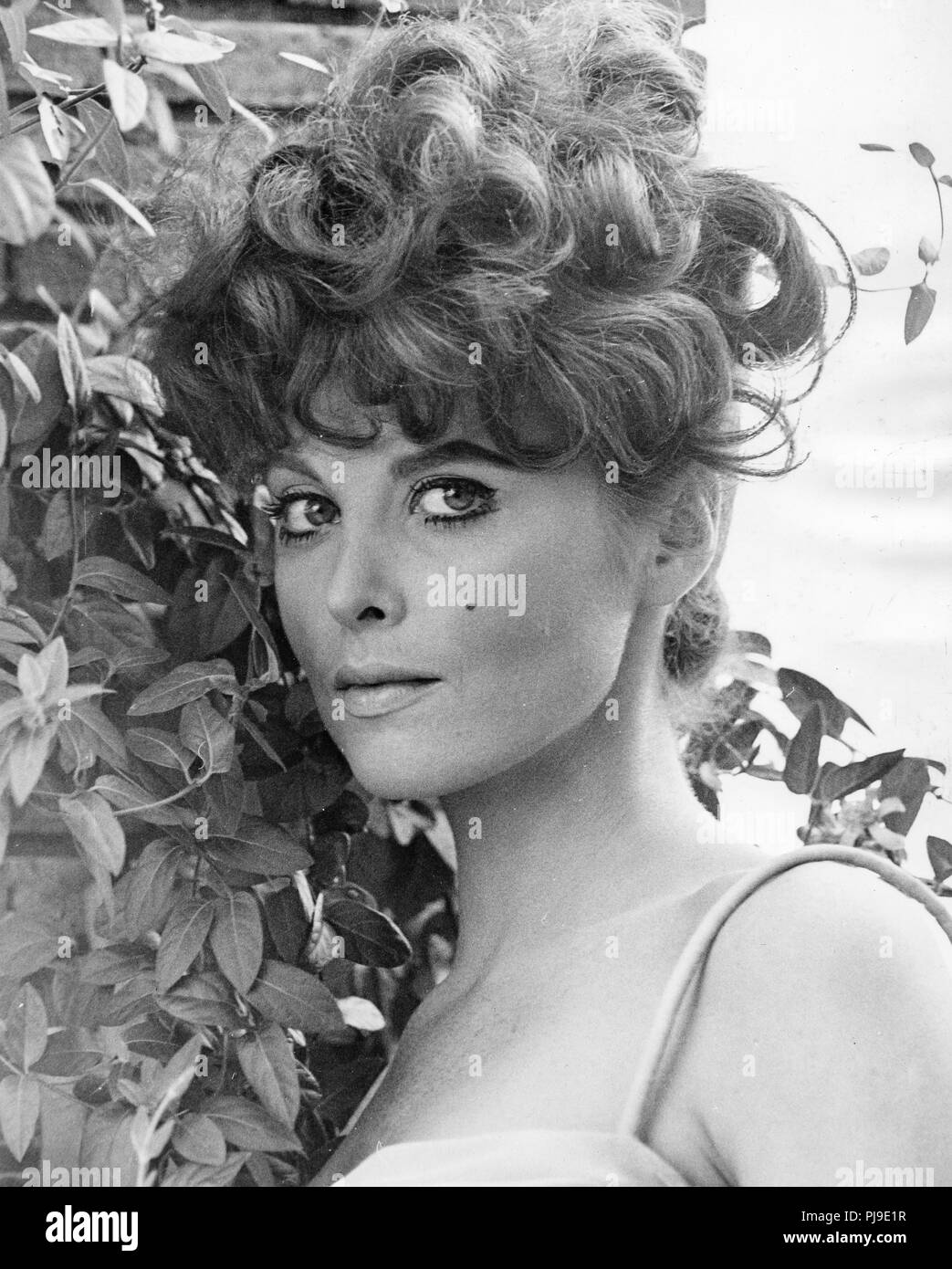 Tina louise hi-res stock photography and images - Alamy