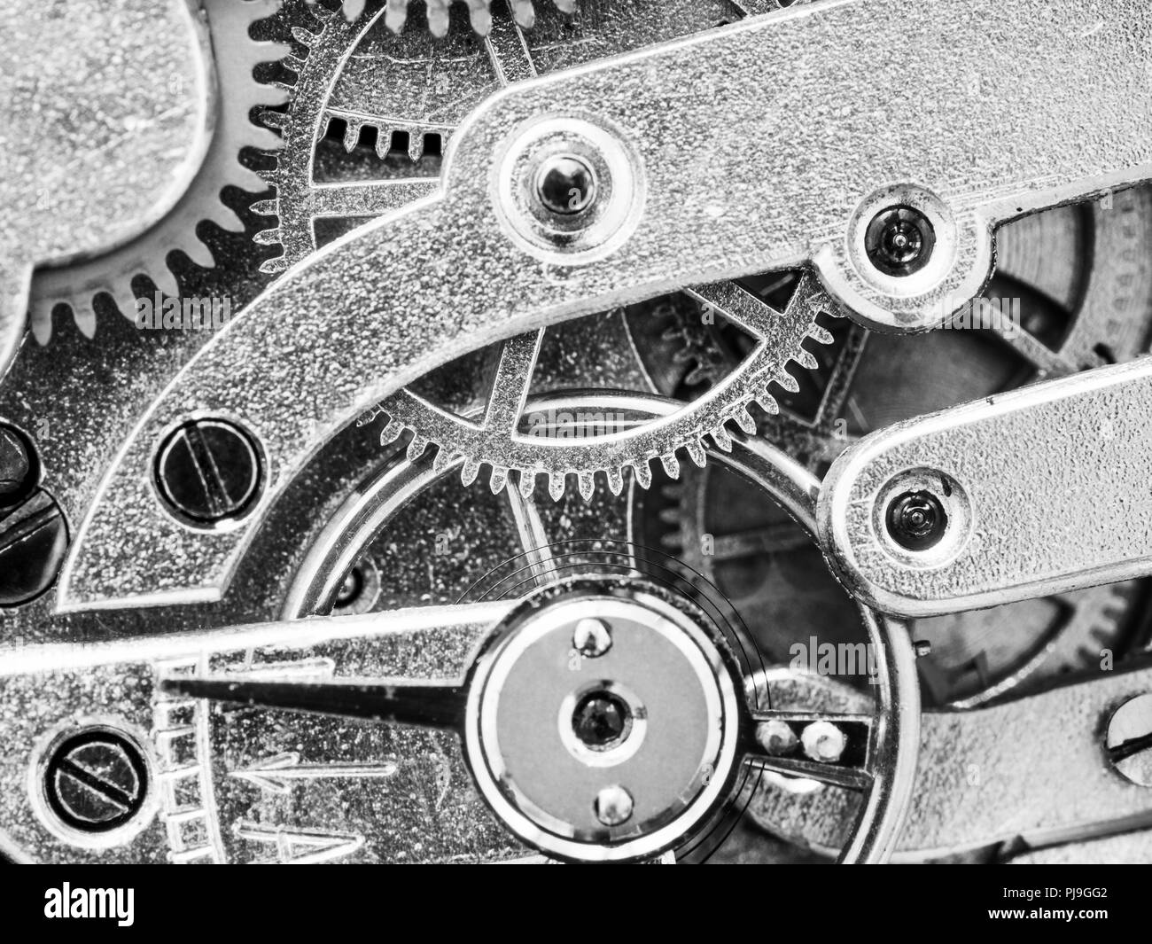 gears in antique pocket watch close up in black and white style Stock