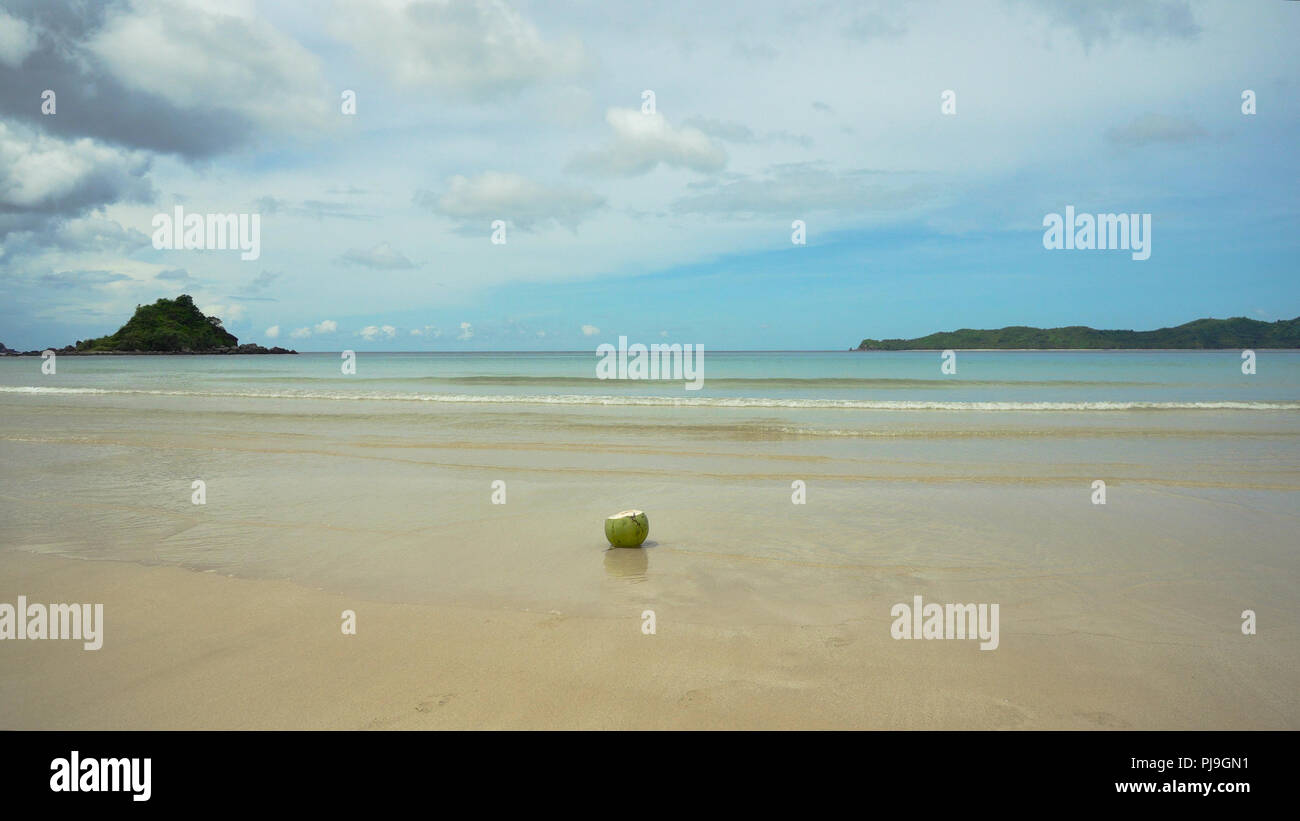 Green coconut on the sand of a tropical beach on a background of blue ...