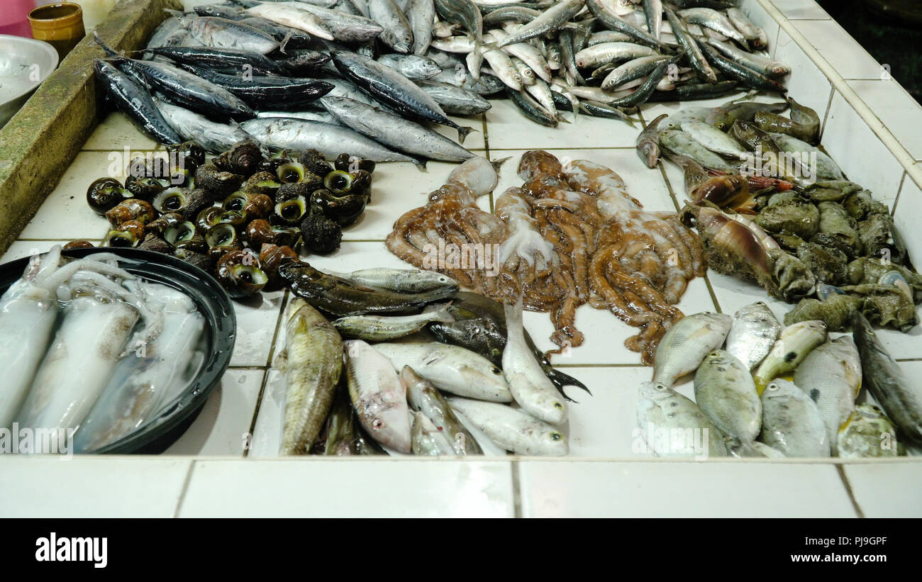 Fresh Seafood in Asian market. Sale of fresh Clams fish in the Asian