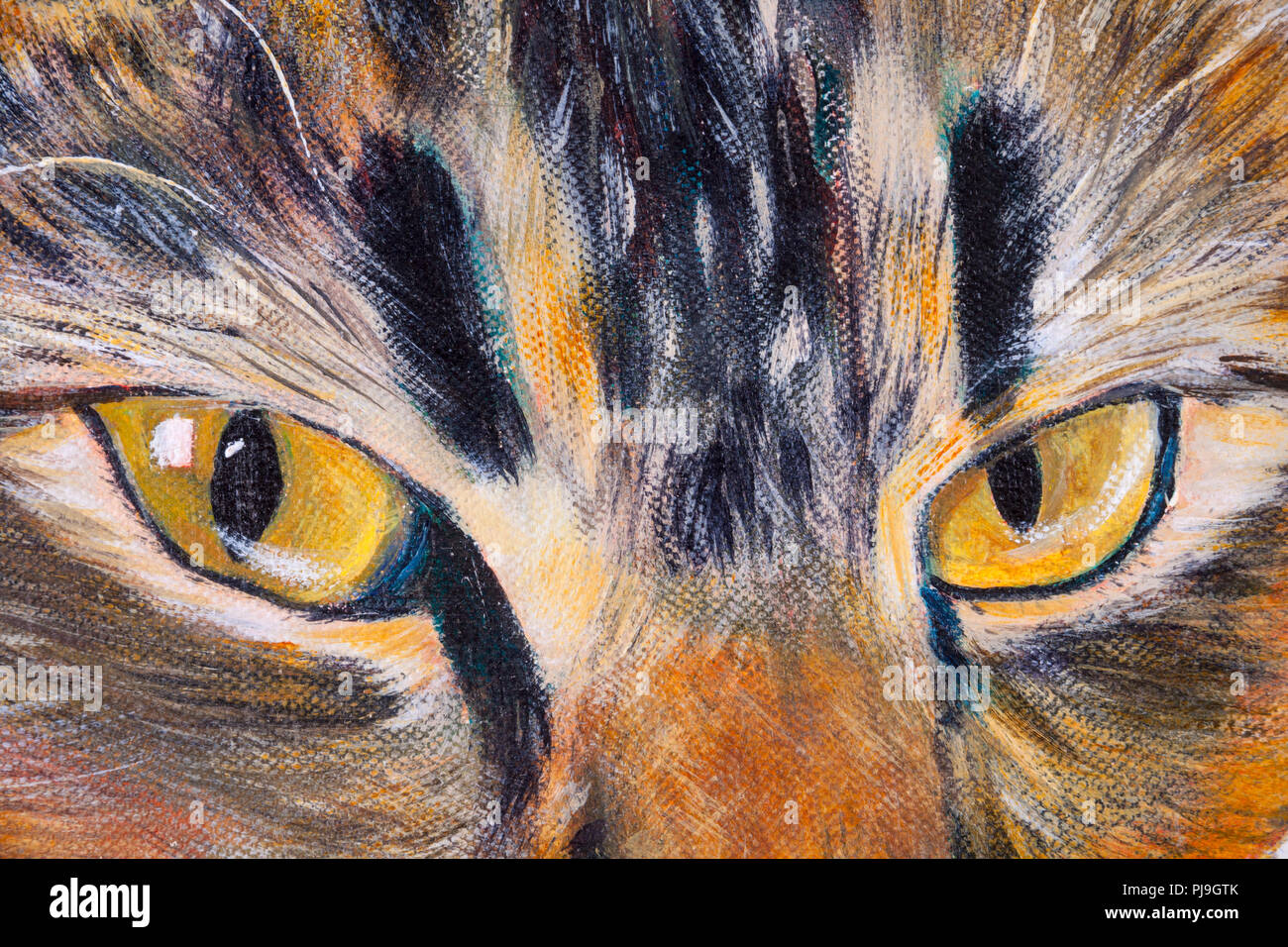 Details of acrylic paintings showing colour, textures and techniques. A cats eyes close up. Stock Photo