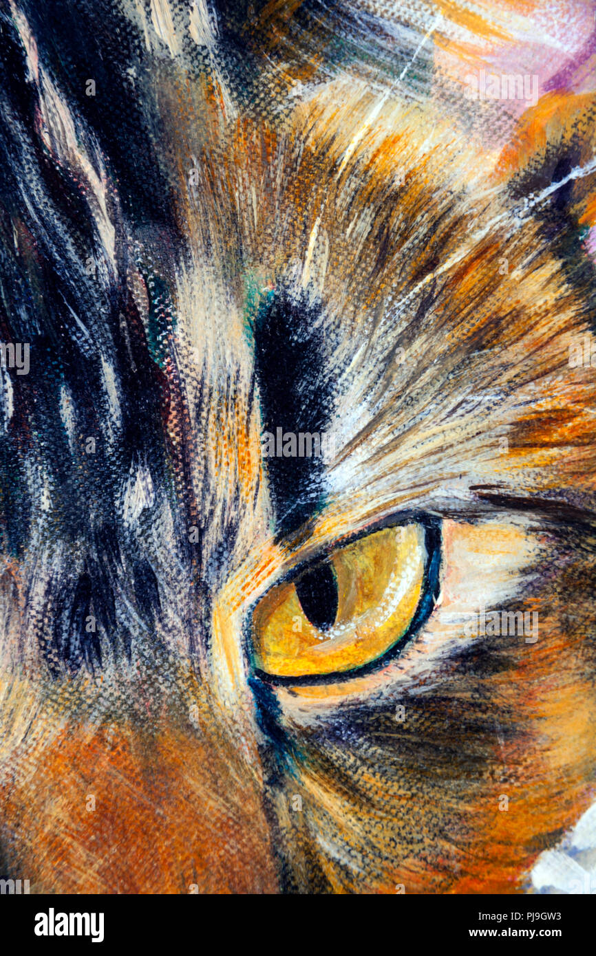 Details of acrylic paintings showing colour, textures and techniques. A cats eye close up. Stock Photo