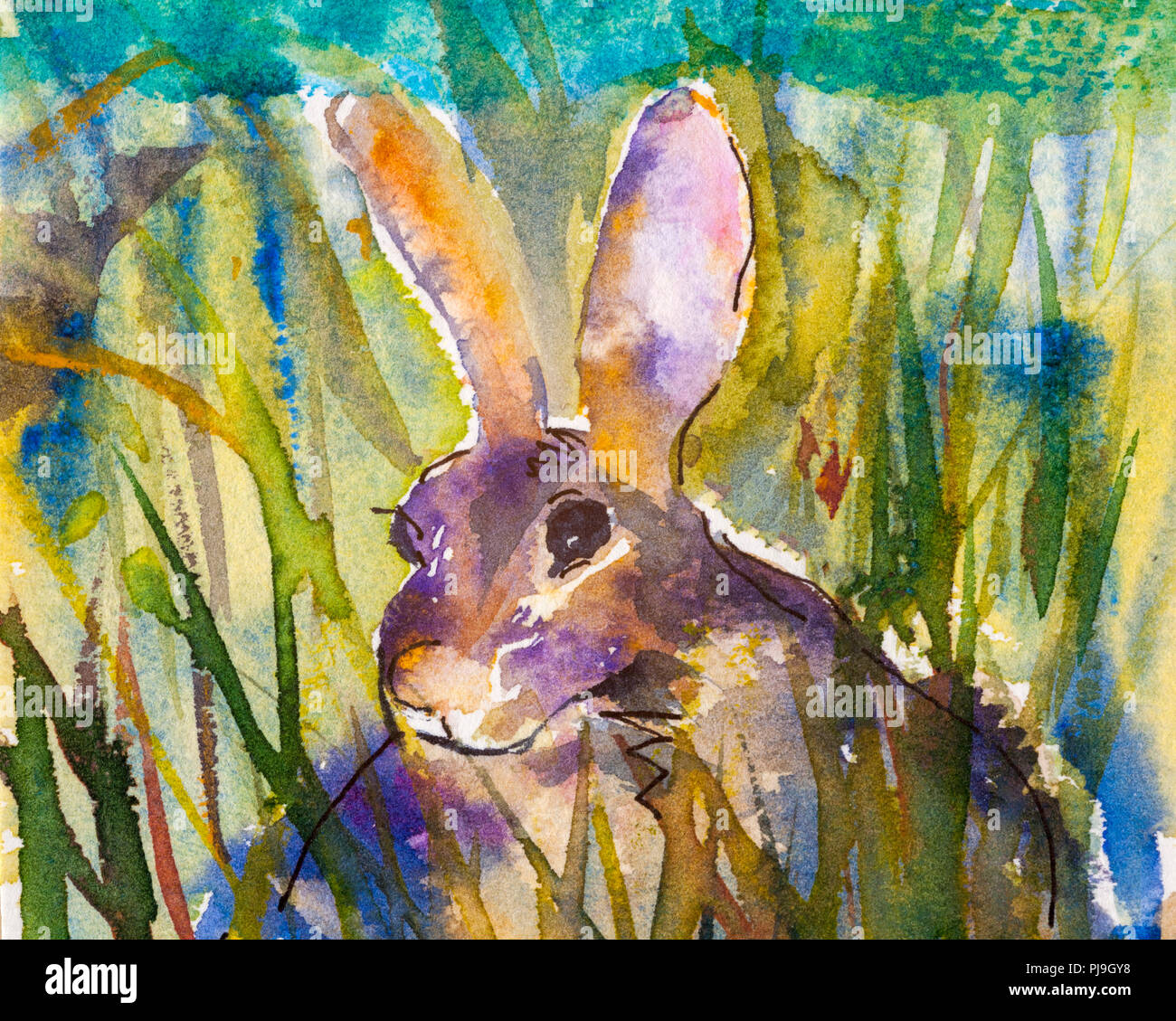 Details of watercolour painting studies for a wildlife illustration project showing colour, textures and techniques. A rabbit. Stock Photo
