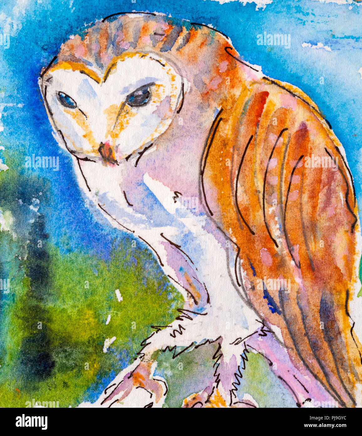 Details of watercolour painting studies for a wildlife illustration project showing colour, textures and techniques. An owl. Stock Photo
