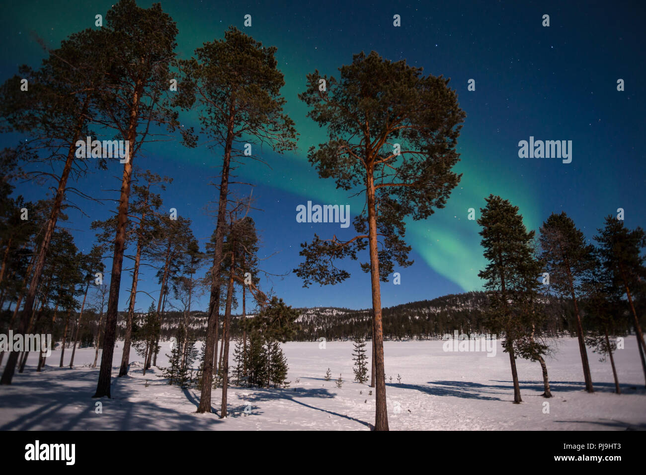 Northern lights, Aurora Borealis in Lapland, Finland Stock Photo Alamy